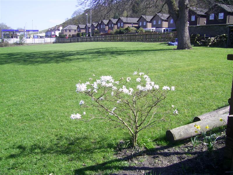 Looking across the field to the East